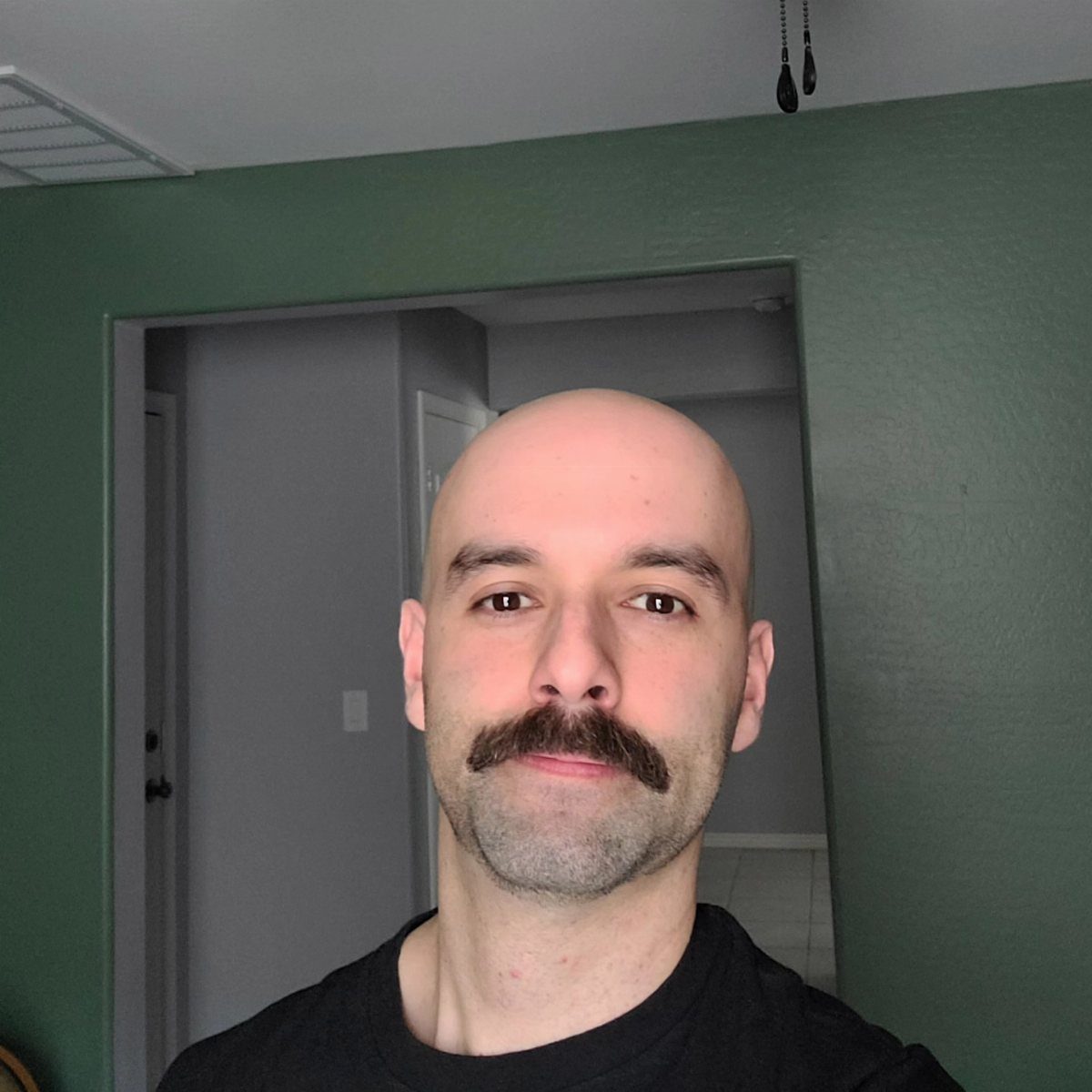 Bald man with a thick dark chevron mustache and light facial stubble.