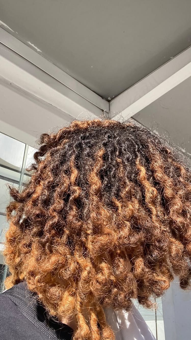 Back view of a person with golden-blonde and brown curly dreadlocks.