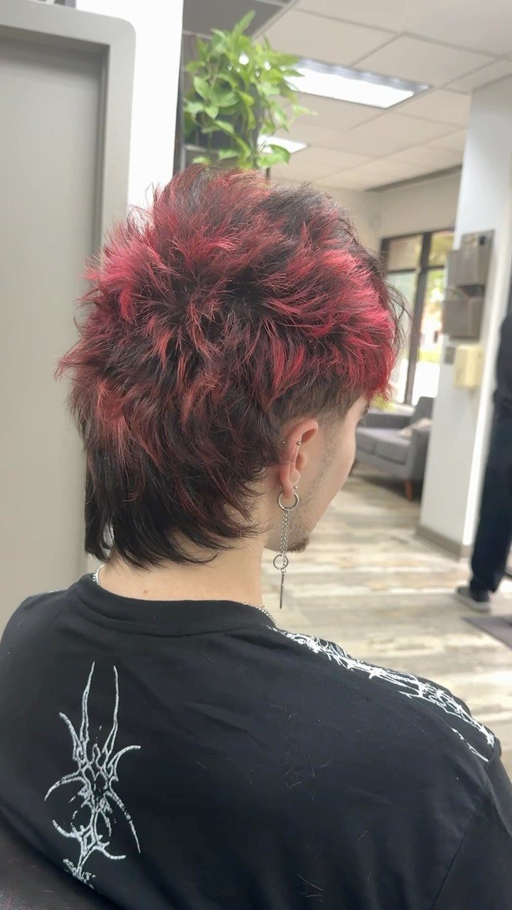 Person with spiky red and black medium length hair seen from behind.