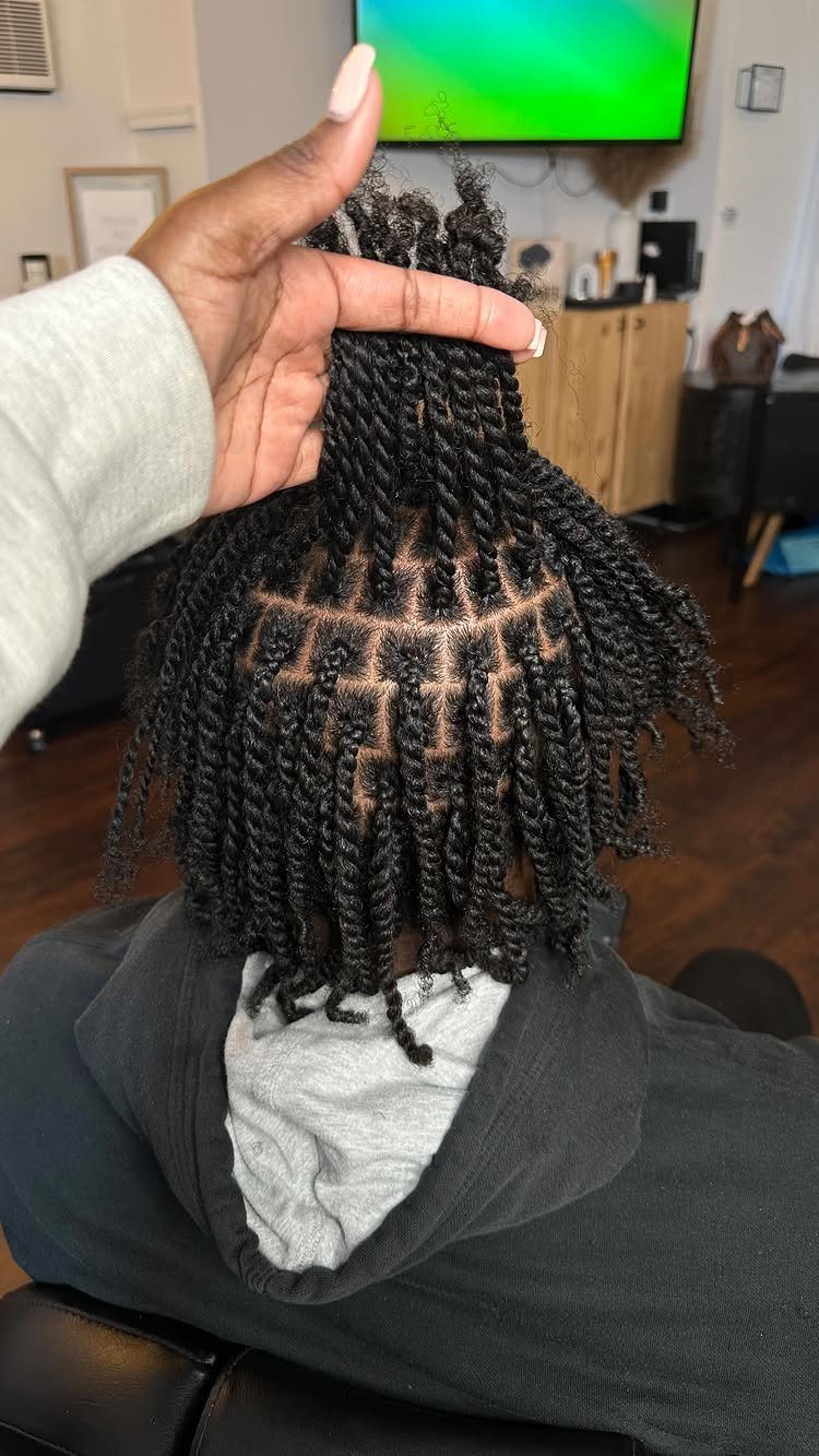 Black hair styled in small, neat twists viewed from the back of the head.