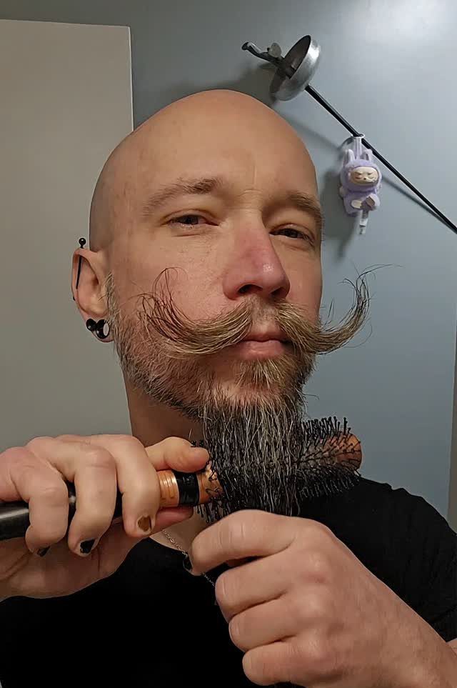 Bald man grooming a long handlebar mustache and a long greyish-brown goatee.