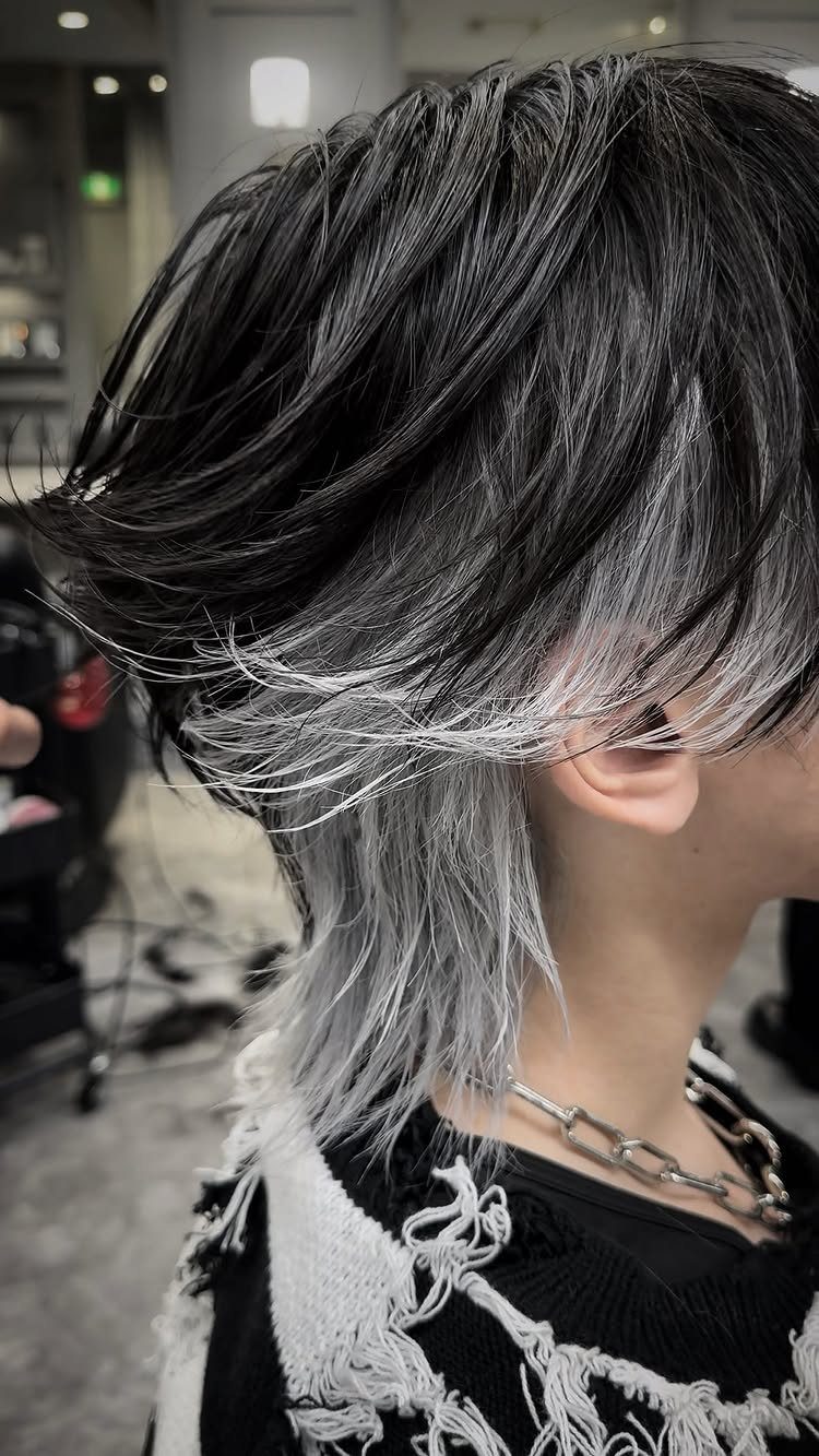 Man with a layered black and silver wolf cut hairstyle and silver chain.